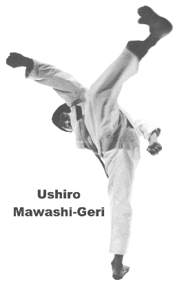 ushiro-geri